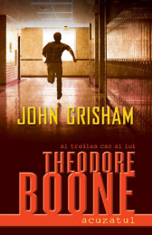 Theodore Boone - Acuzatul